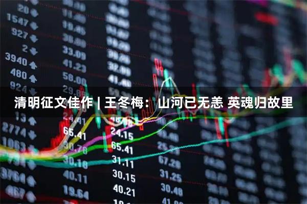清明征文佳作 | 王冬梅：山河已无恙 英魂归故里