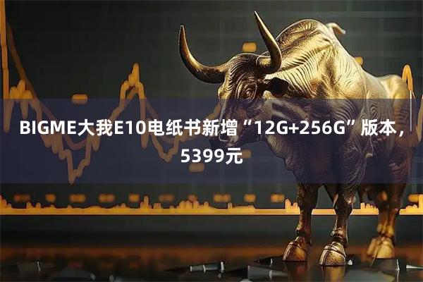 BIGME大我E10电纸书新增“12G+256G”版本，5399元