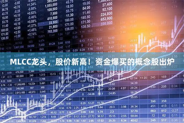 MLCC龙头，股价新高！资金爆买的概念股出炉